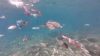 Кушадасы. Спиннинг с пляжа и прибрежные точки