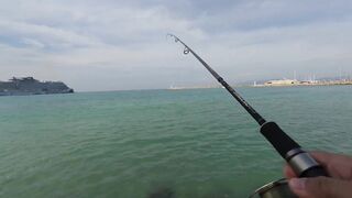Кушадасы. Спиннинг с пляжа и прибрежные точки