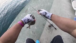 Кушадасы. Спиннинг с пляжа и прибрежные точки