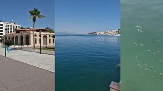 Чешме, Турция день у моря и рыбалка у маяка