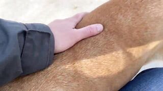 Дидим и Айдын, Турция где лучше заходить с берега