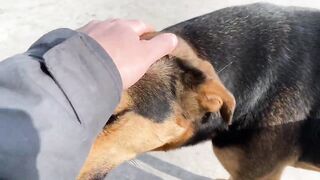 Дидим и Айдын, Турция где лучше заходить с берега