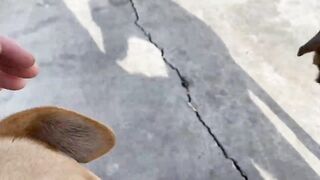 Дидим и Айдын, Турция где лучше заходить с берега