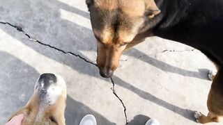 Дидим и Айдын, Турция где лучше заходить с берега