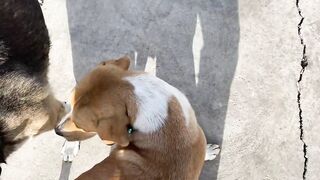 Дидим и Айдын, Турция где лучше заходить с берега