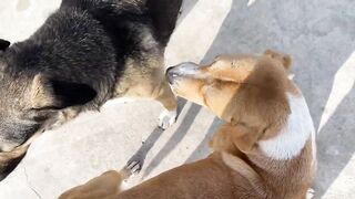 Дидим и Айдын, Турция где лучше заходить с берега