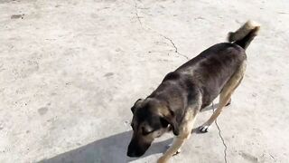 Дидим и Айдын, Турция где лучше заходить с берега