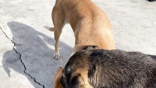 Дидим и Айдын, Турция где лучше заходить с берега