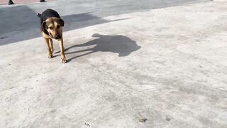 Дидим и Айдын, Турция где лучше заходить с берега