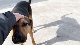 Дидим и Айдын, Турция где лучше заходить с берега