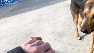 Дидим и Айдын, Турция где лучше заходить с берега