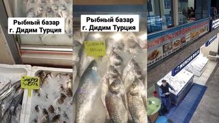 Дидим, Турция. Свежая рыба и морепродукты на базаре