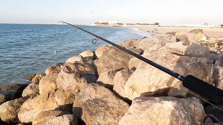 Рас-эль-Хайма, ОАЭ сарган на спиннинг у пирсов