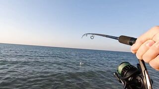 Рас-эль-Хайма, ОАЭ сарган на спиннинг у пирсов