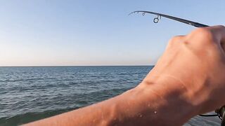 Рас-эль-Хайма, ОАЭ сарган на спиннинг у пирсов