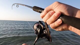 Рас-эль-Хайма, ОАЭ сарган на спиннинг у пирсов