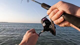 Рас-эль-Хайма, ОАЭ сарган на спиннинг у пирсов