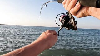 Рас-эль-Хайма, ОАЭ сарган на спиннинг у пирсов