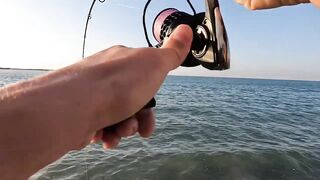 Рас-эль-Хайма, ОАЭ сарган на спиннинг у пирсов