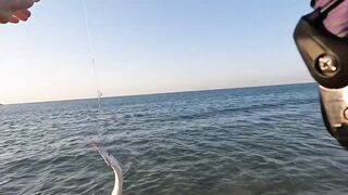 Рас-эль-Хайма, ОАЭ сарган на спиннинг у пирсов