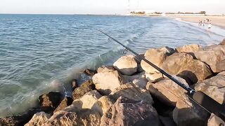 Рас-эль-Хайма, ОАЭ сарган на спиннинг у пирсов