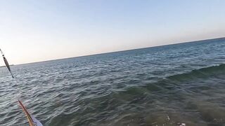 Рас-эль-Хайма, ОАЭ сарган на спиннинг у пирсов