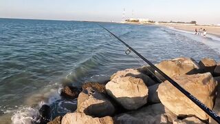 Рас-эль-Хайма, ОАЭ сарган на спиннинг у пирсов