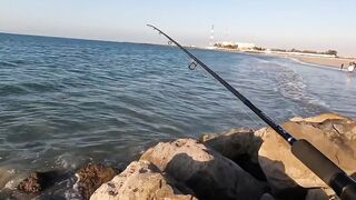 Рас-эль-Хайма, ОАЭ сарган на спиннинг у пирсов