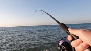 Рас-эль-Хайма, ОАЭ сарган на спиннинг у пирсов