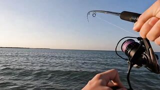 Рас-эль-Хайма, ОАЭ сарган на спиннинг у пирсов