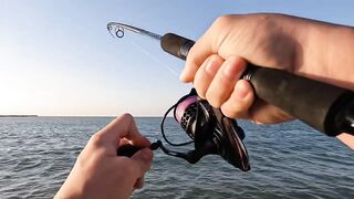 Рас-эль-Хайма, ОАЭ сарган на спиннинг у пирсов