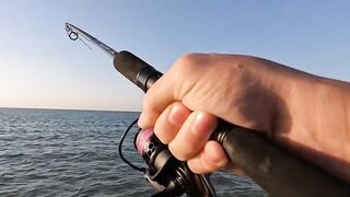 Рас-эль-Хайма, ОАЭ сарган на спиннинг у пирсов