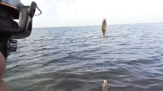 Рас-эль-Хайма, ОАЭ: морская рыбалка у береговой кромки