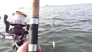 Рас-эль-Хайма, ОАЭ: морская рыбалка у береговой кромки