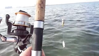 Рас-эль-Хайма, ОАЭ: морская рыбалка у береговой кромки