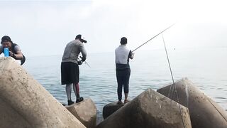 Umm Al Quwain (Умм-эль-Кайвайн) снаппер на раздаче как ловили