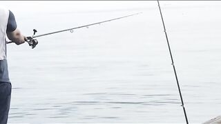 Umm Al Quwain (Умм-эль-Кайвайн) снаппер на раздаче как ловили