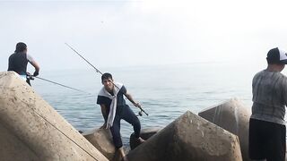 Umm Al Quwain (Умм-эль-Кайвайн) снаппер на раздаче как ловили