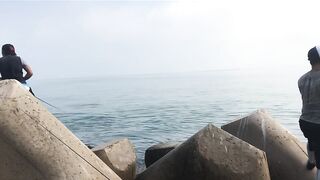 Umm Al Quwain (Умм-эль-Кайвайн) снаппер на раздаче как ловили