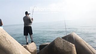 Umm Al Quwain (Умм-эль-Кайвайн) снаппер на раздаче как ловили