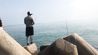 Umm Al Quwain (Умм-эль-Кайвайн) снаппер на раздаче как ловили