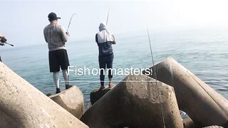 Umm Al Quwain (Умм-эль-Кайвайн) снаппер на раздаче как ловили