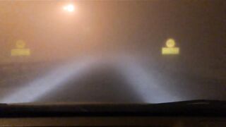 Umm Al Quwain (Умм-эль-Кайвайн) снаппер на раздаче как ловили