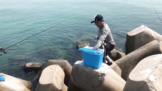 Umm Al Quwain (Умм-эль-Кайвайн) снаппер на раздаче как ловили