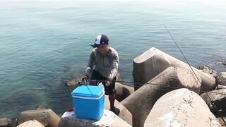 Umm Al Quwain (Умм-эль-Кайвайн) снаппер на раздаче как ловили