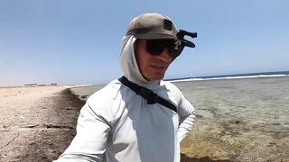 Египет - штормовая береговая рыбалка: джек сорвался, макрель в зачёт