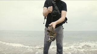 Dibba, Fujairah (Дибба, Фуджейра) - ультралайт рай у берега