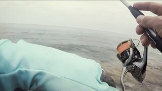 Dibba, Fujairah (Дибба, Фуджейра) - ультралайт рай у берега