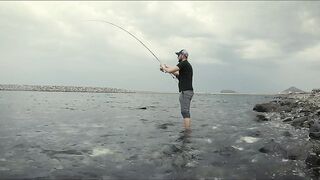 Dibba, Fujairah (Дибба, Фуджейра) - ультралайт рай у берега