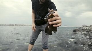 Dibba, Fujairah (Дибба, Фуджейра) - ультралайт рай у берега